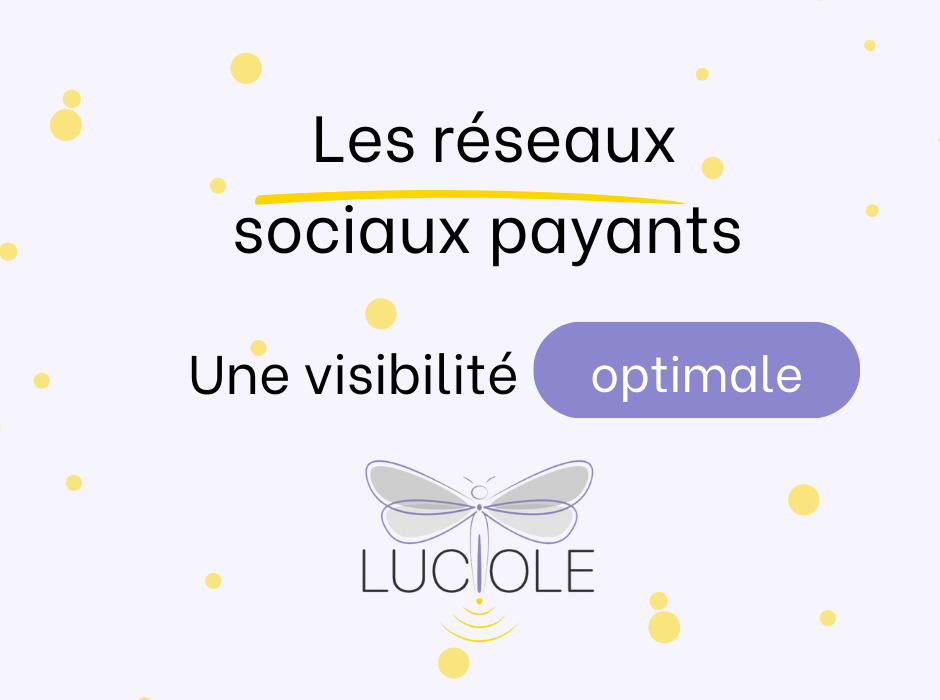 Blog Luciole réseaux sociaux payants - Luciole Communication agence de communication à Laragne